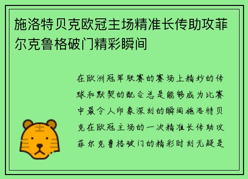 施洛特贝克欧冠主场精准长传助攻菲尔克鲁格破门精彩瞬间