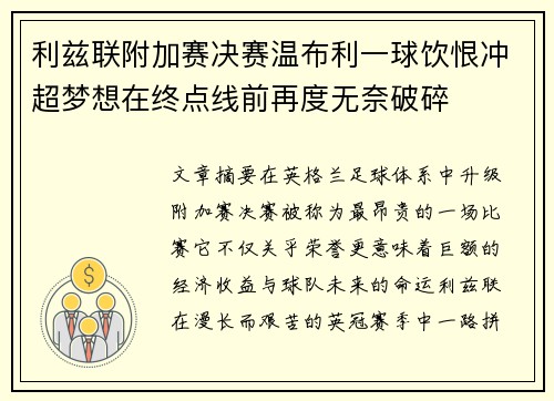 利兹联附加赛决赛温布利一球饮恨冲超梦想在终点线前再度无奈破碎 利兹联附加赛决赛温布利一球饮恨冲超梦想在终点线前再度无奈破碎